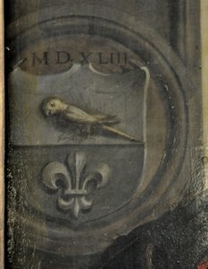 Porträt des Christoph Baumgartner (Detail: Wappen) von Christoph Amberger  Amberger